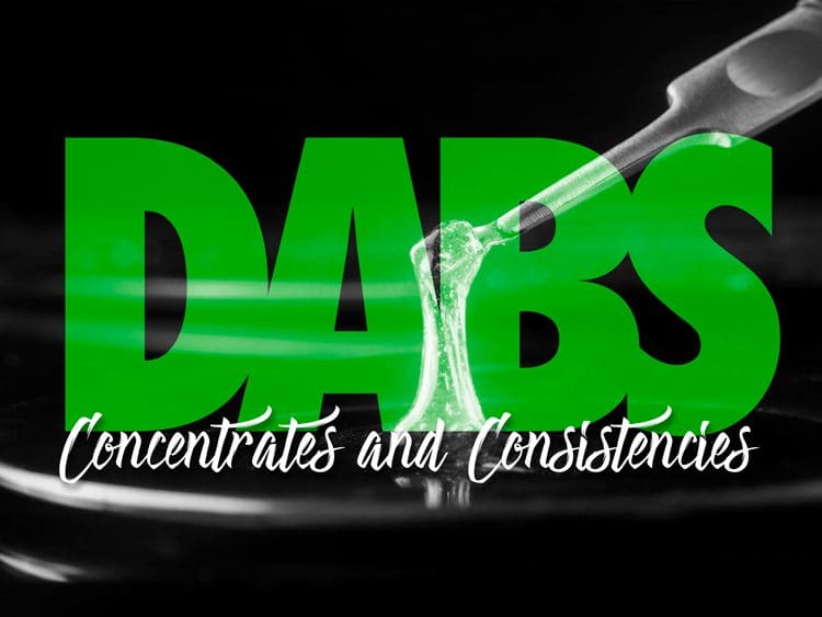 Cannabis Dabs and Concentrates