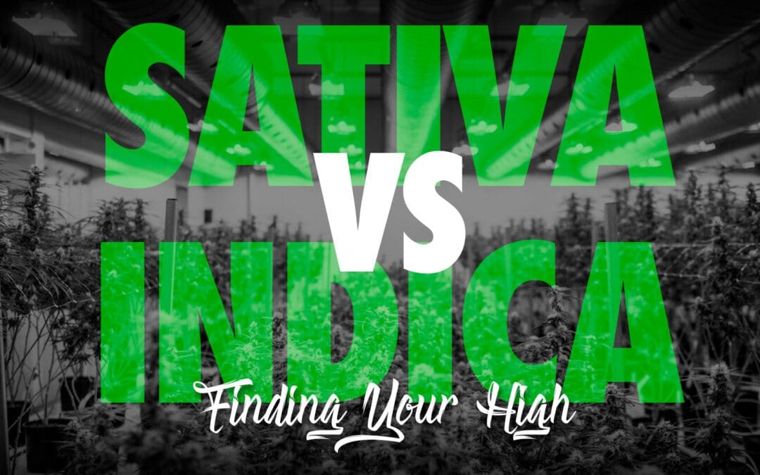 SATIVA VS INDICA: FINDING YOUR HIGH