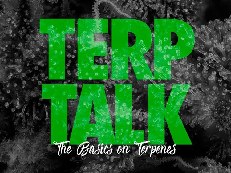 Terp Talk: The basics on Terpenes