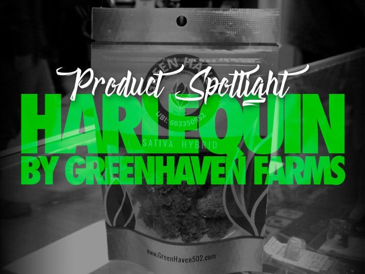 Harlequin by Greenhaven Farms