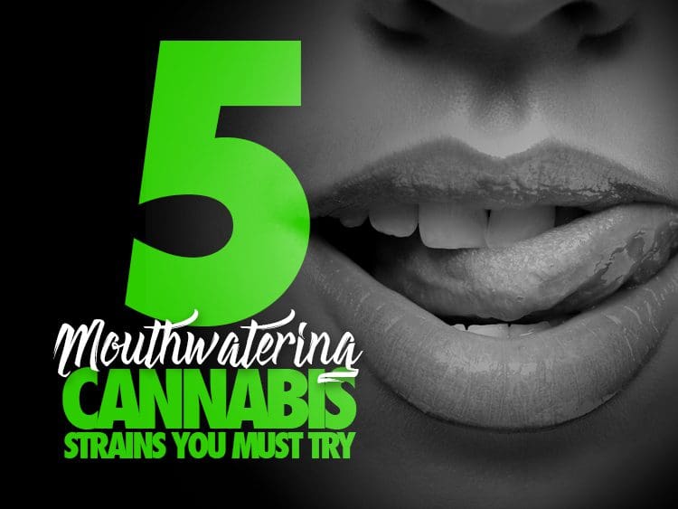 5 Mouthwatering Cannabis Strains You Must Try