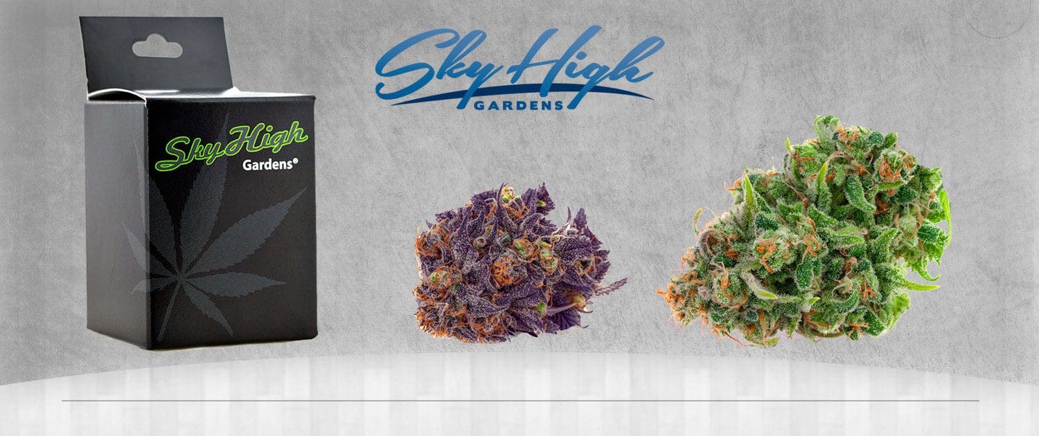 Sky High Gardens Cannabis