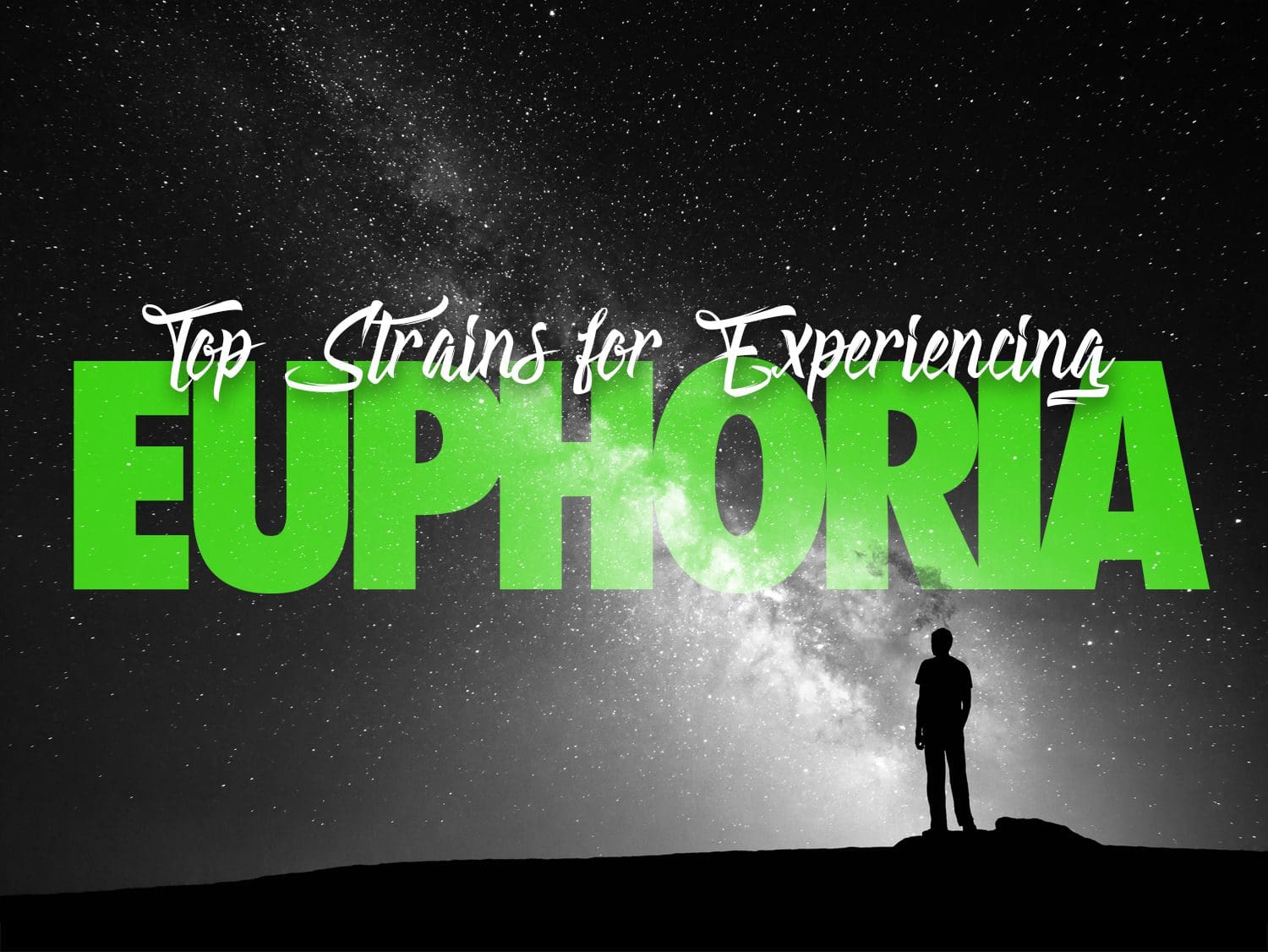 Cannabis Strains to Experience Euphoria