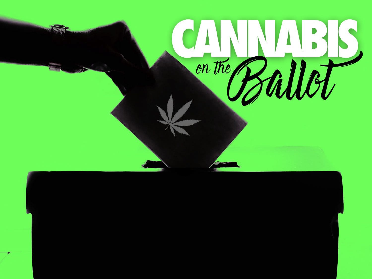 Cannabis on the Ballot