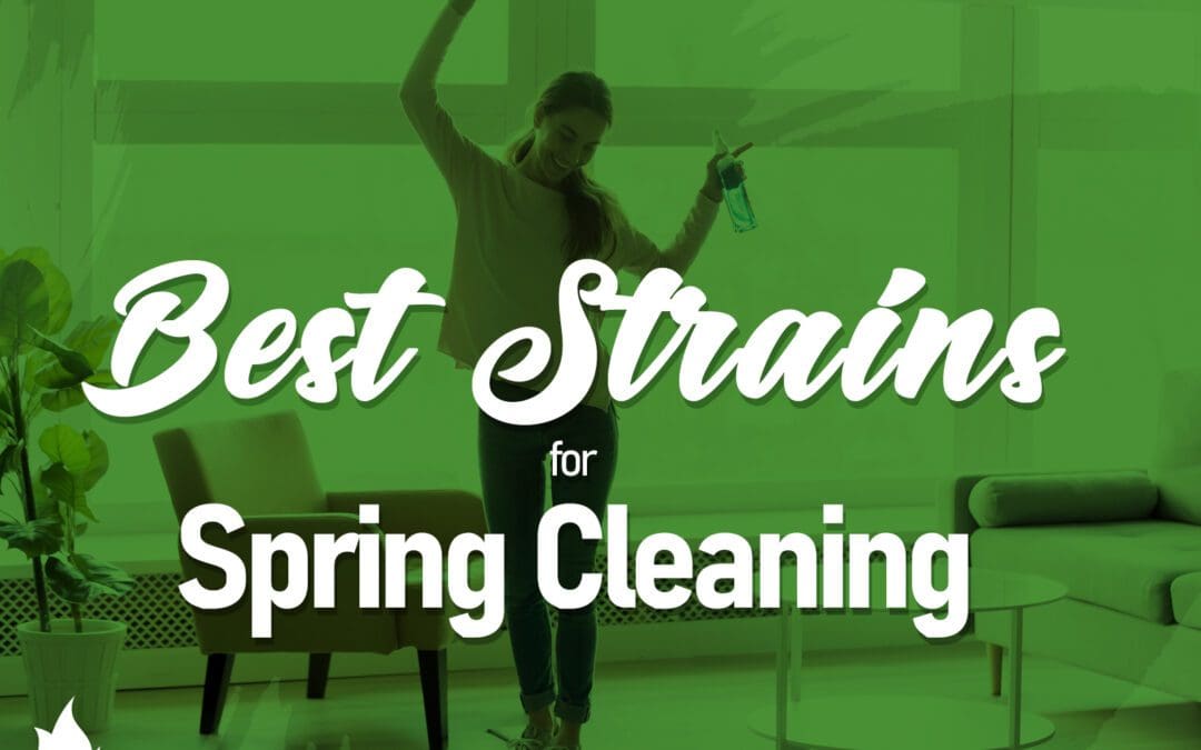 Best Strains for Spring Cleaning