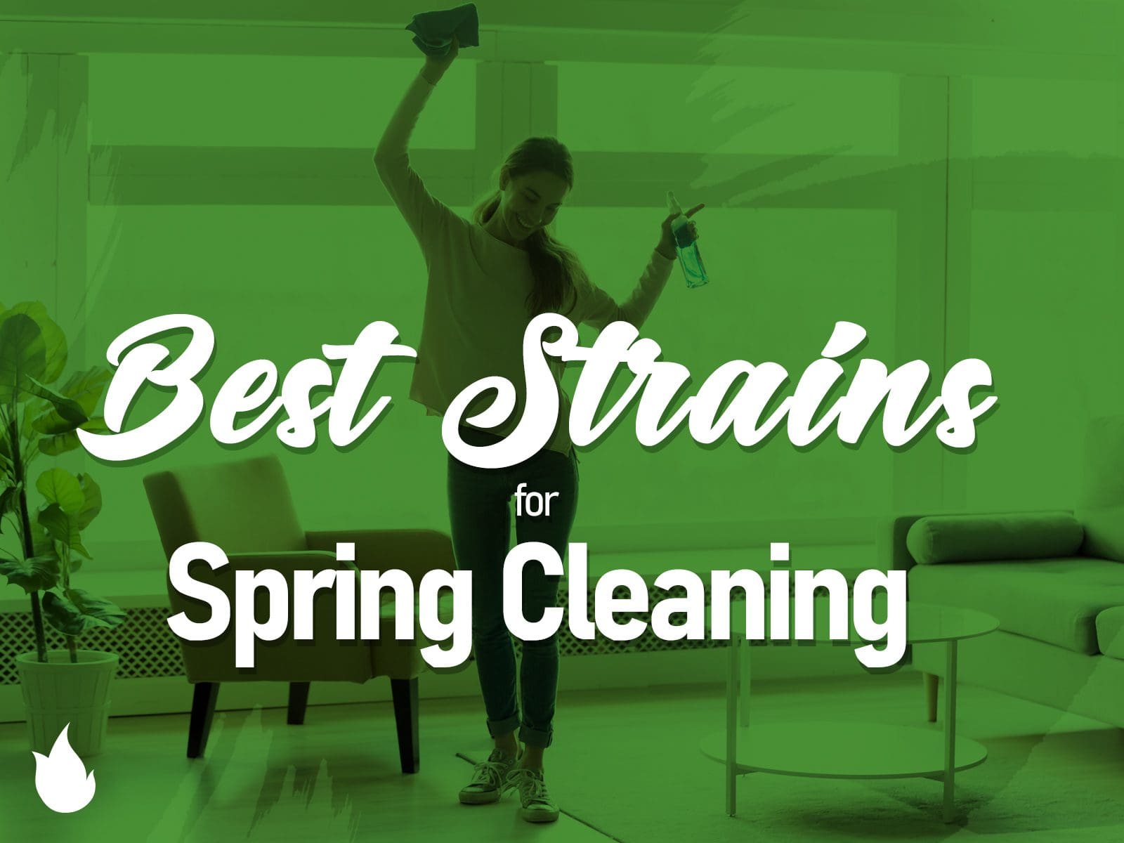 Best Cannabis Strains for Spring Cleaning