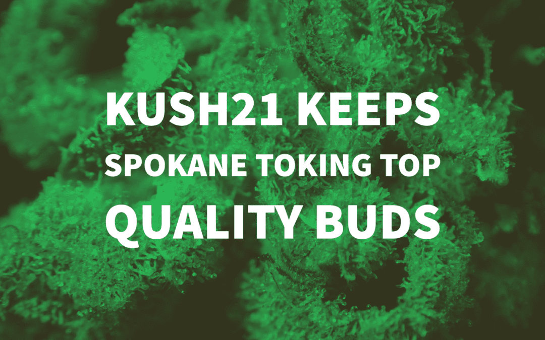 Kush 21 Keeps Spokane Toking Top Quality Buds