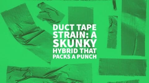 duct tape strain