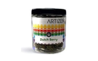Dutch Berry Strain by Artizen: Amsterdam Meets Blissful Berry