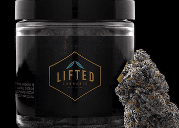 Lifted Cannabis Co Brand Guide: Premium Washington Genetics