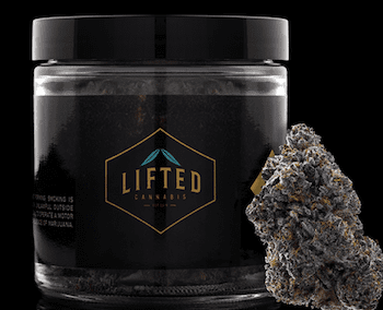 Lifted Cannabis Co. strain