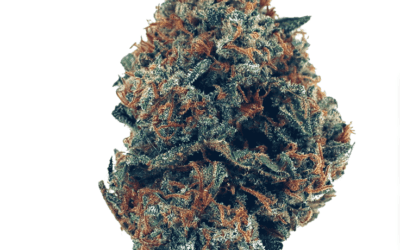 Zkittlez Strain: Powerful Sweet and Fruity Candy Flavors