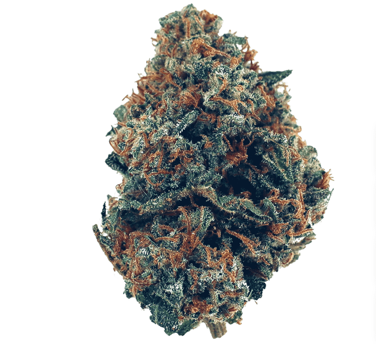 Zkittlez Strain: Powerful Sweet and Fruity Candy Flavors