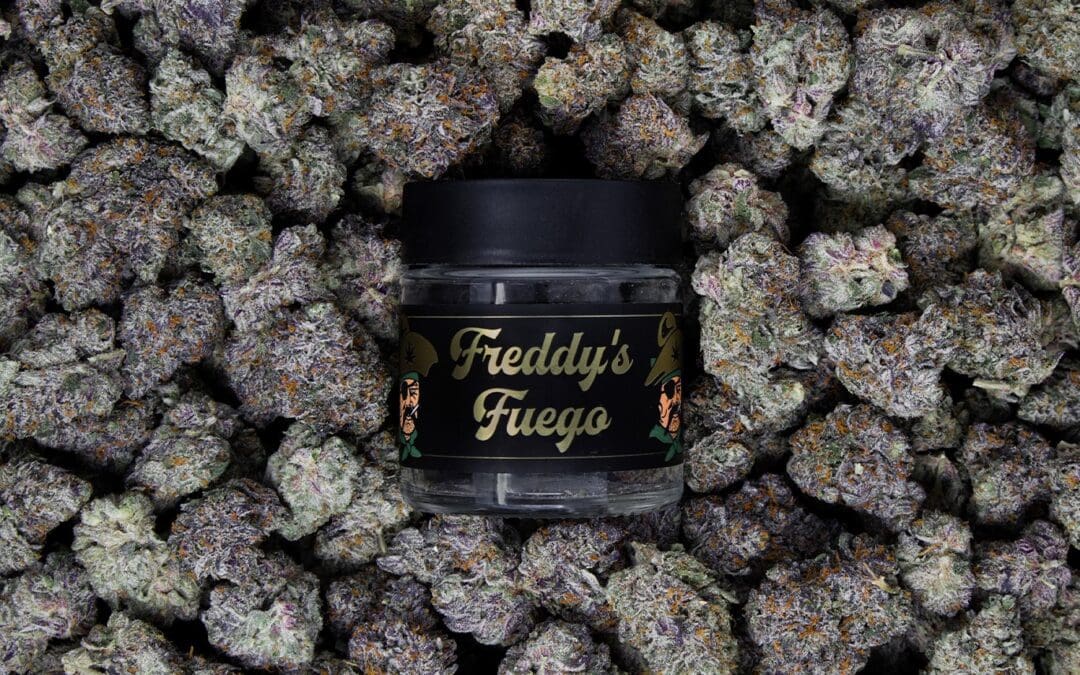 Freddy’s Fuego Cannabis: Fire Washington Genetics Loaded with Terpenes at Kush21