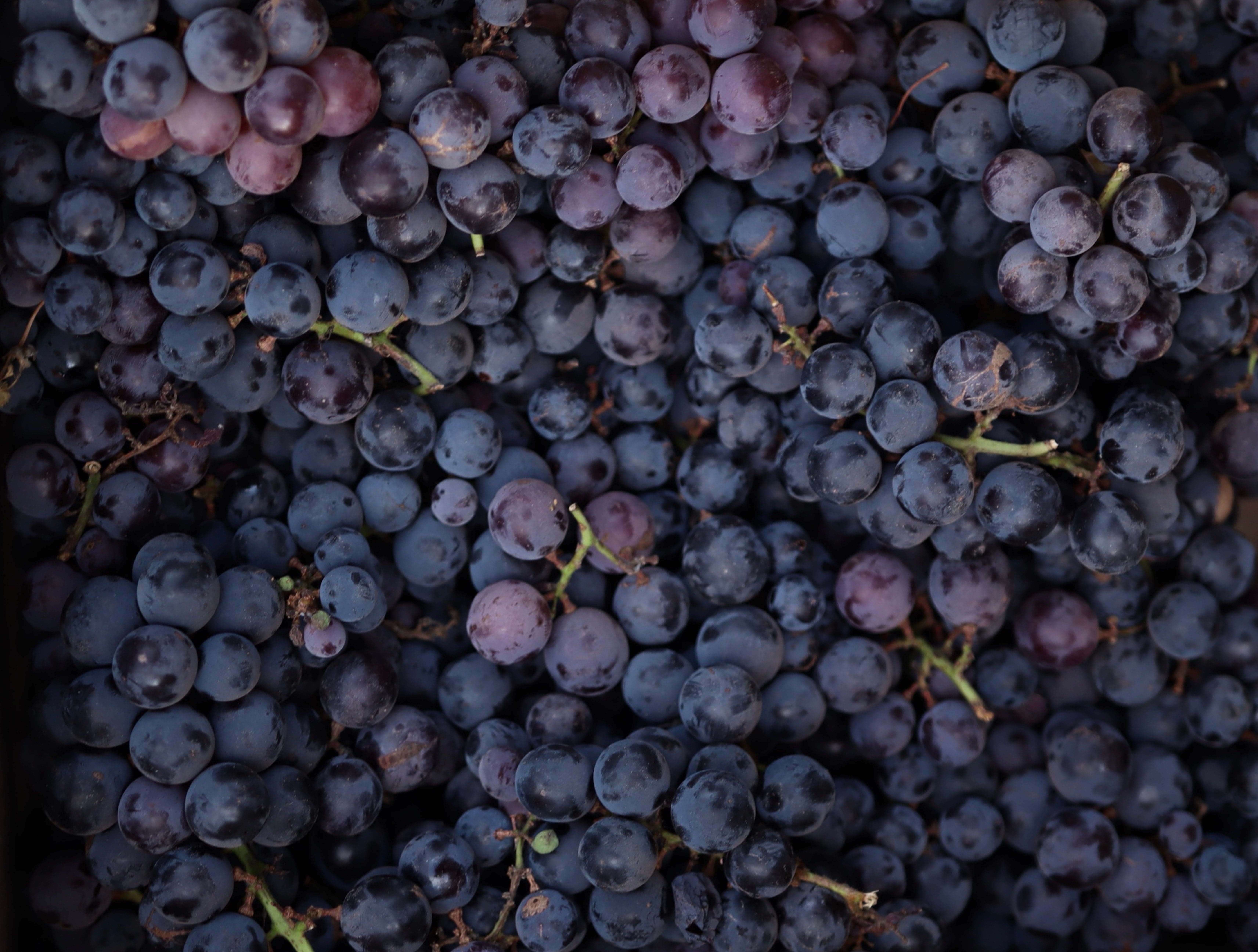 grape ape strain artizen