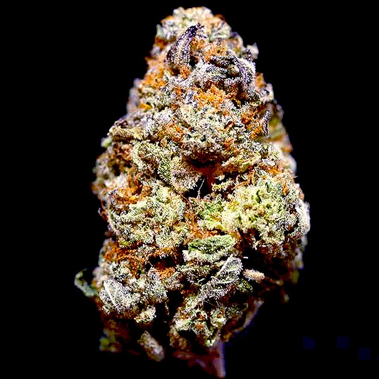 dolato strain