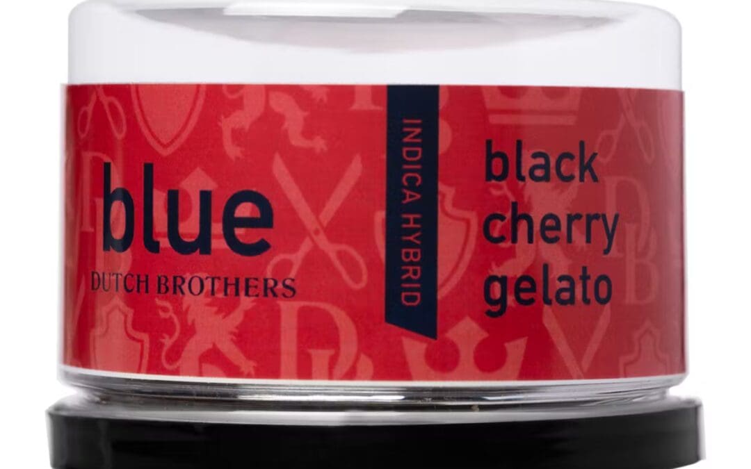 Black Cherry Gelato Strain By Dutch Brothers