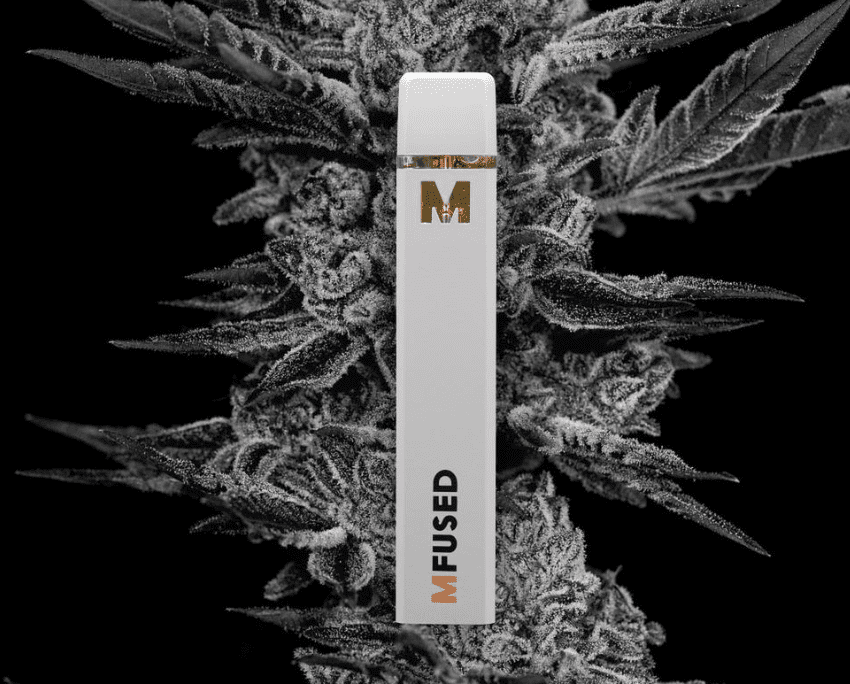 Mfused full spectrum disposable vape