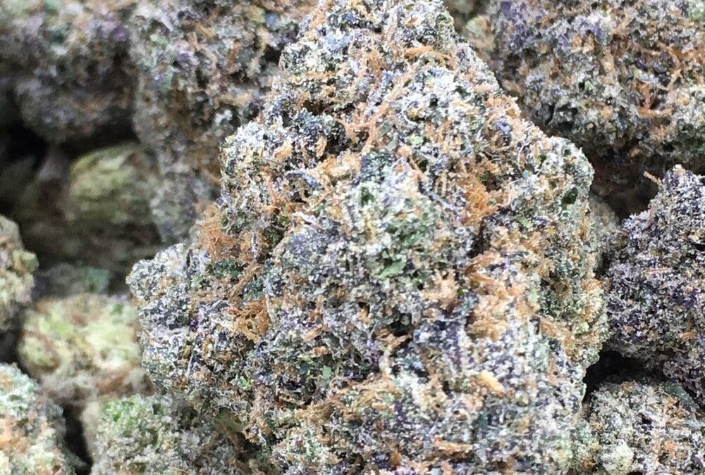 Phat Panda’s White Runtz Strain Is A Potent Hybrid Smelling Of Vanilla