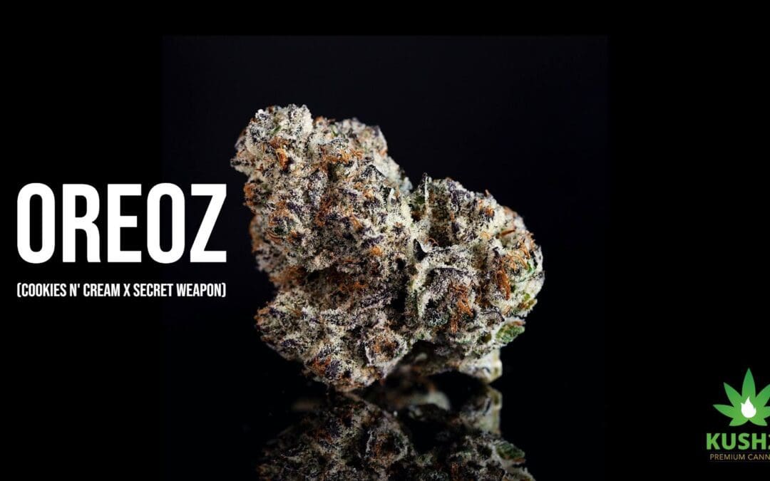 Oreoz Strain By SuperNova Is A Sweet And Creamy Treat