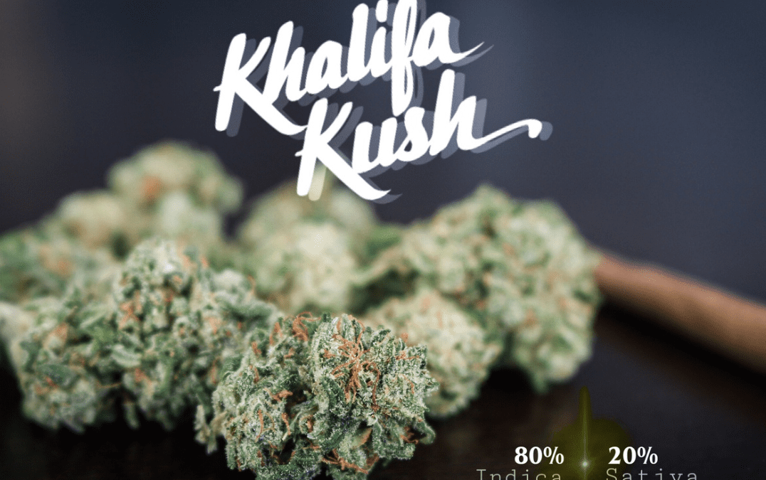 Khalifa Kush: A Potent Hybrid That May Spark Feelings Of Nostalgia