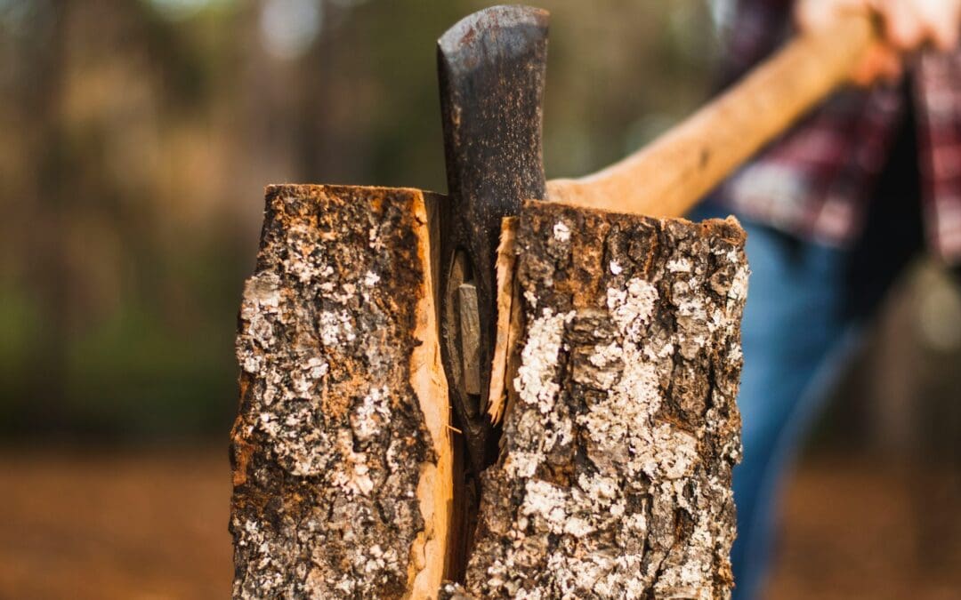 Get Ready for the Buckley Log Show Parade & Vendor Event in buckley.