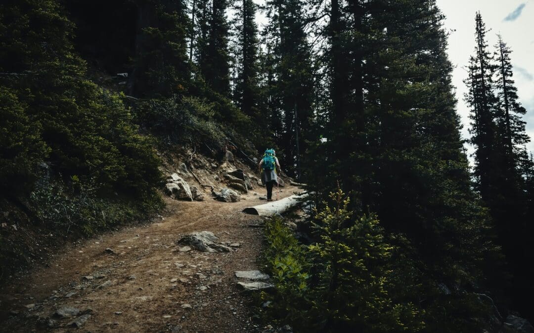 Putting the High in Hiking in the Pacific Northwest