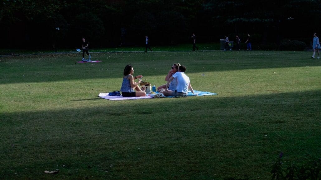 A group of people sitting on top of a lush green field