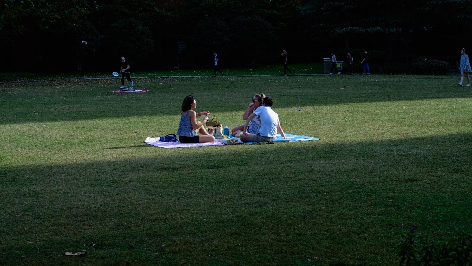 A group of people sitting on top of a lush green field